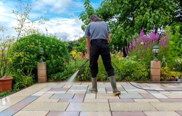 Best Pool Deck Cleaning  in Loma Linda, CA
