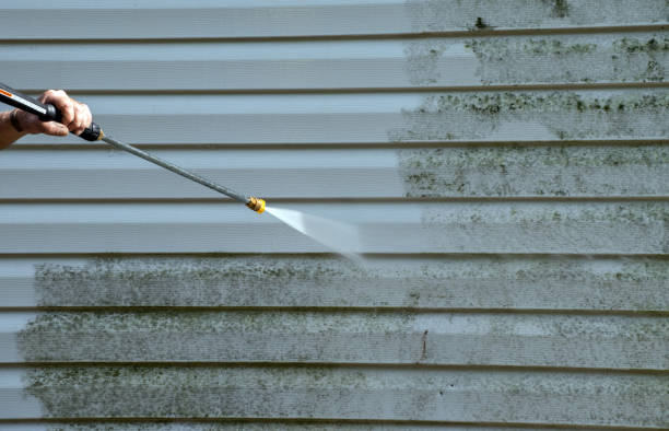 Best Driveway Pressure Washing  in Loma Linda, CA